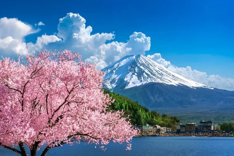 Snow-capped Mount Fuji